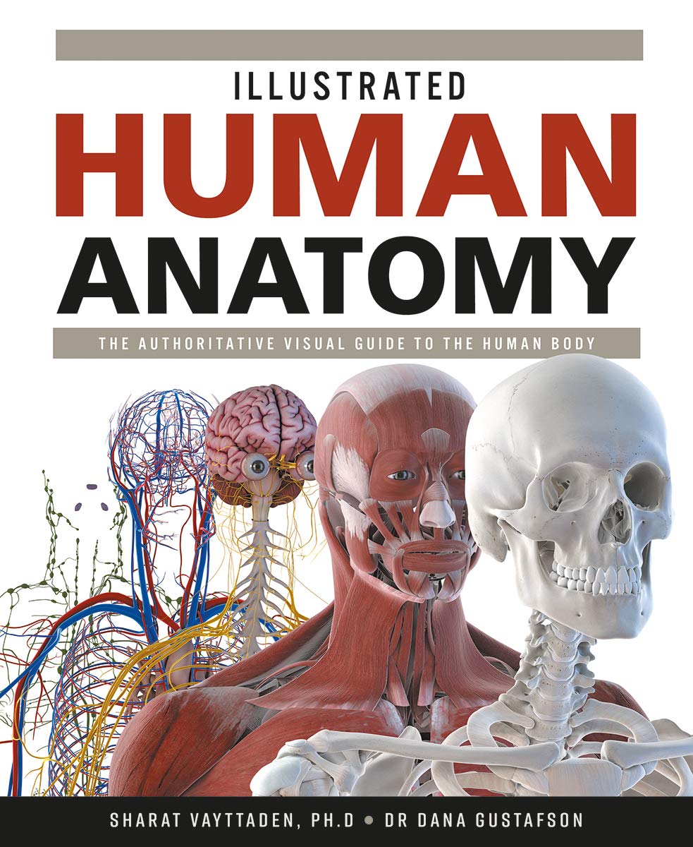 Illustrated Human Anatomy The Authoritative Visual Guide To The Human Body Aerialfitness