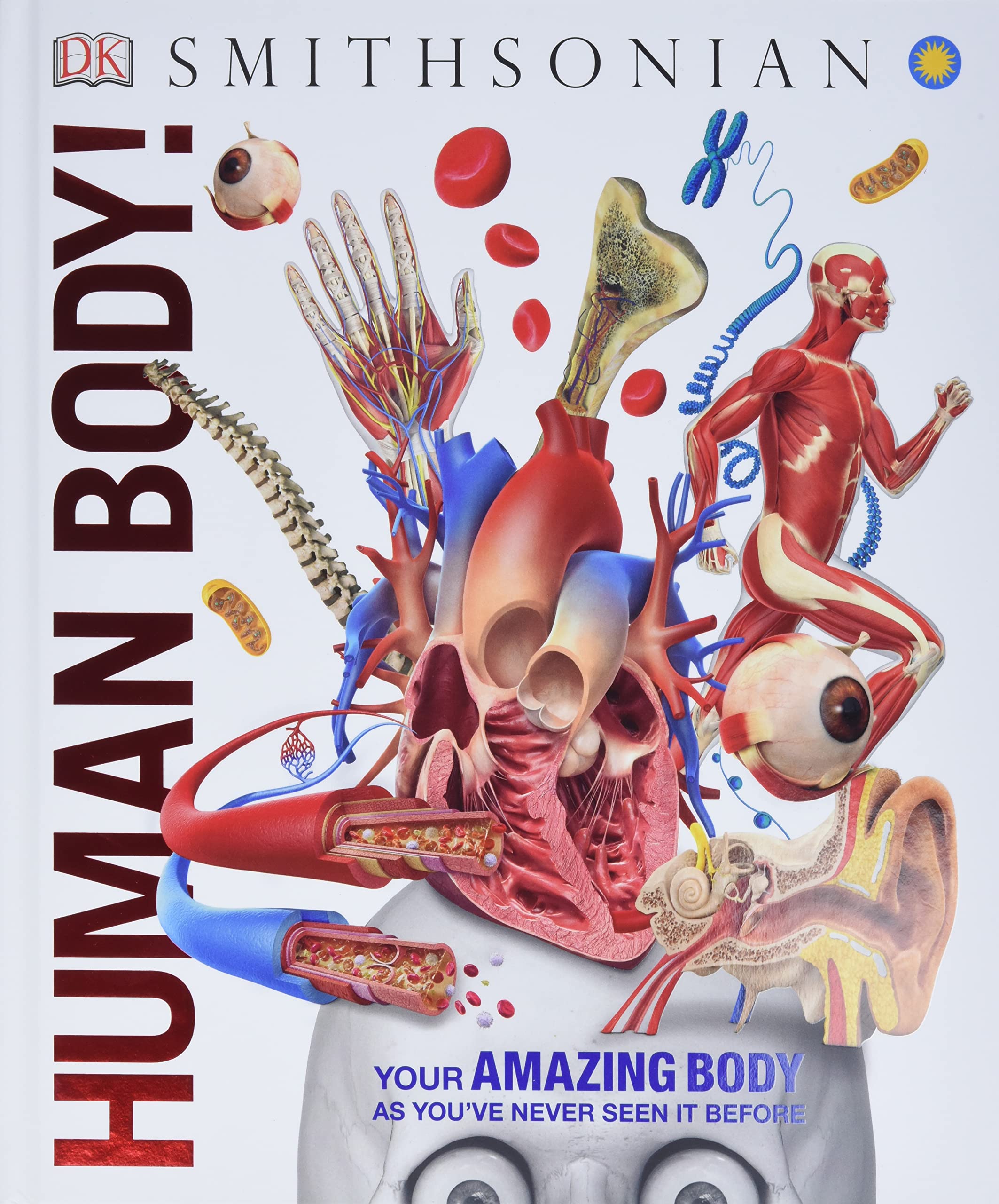 Knowledge Encyclopedia Human Body! (Knowledge Encyclopedias ...