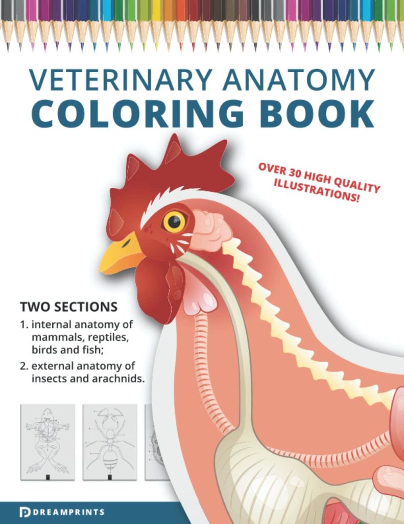 Veterinary Anatomy Coloring Book Animal anatomy coloring book. Vet