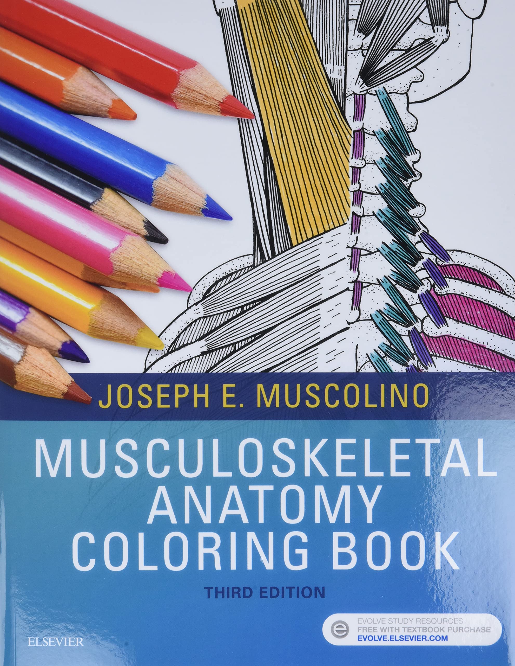 Musculoskeletal Anatomy Coloring Book AerialFitness